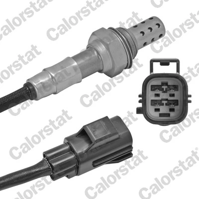 Oxygen Sensor